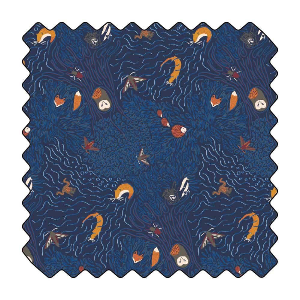 À la nuit tombée, les animaux pointent le bout de leur nez