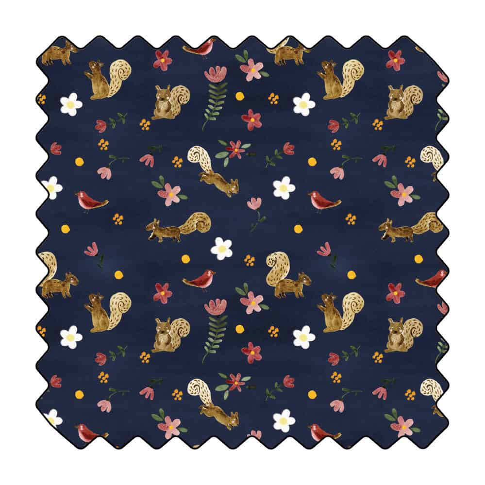 Les petits écureuils sous la lune