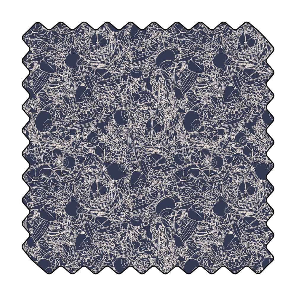 Les escargots en balade