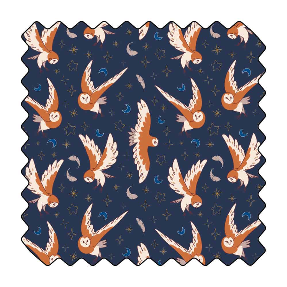 Chouettes sous les étoiles