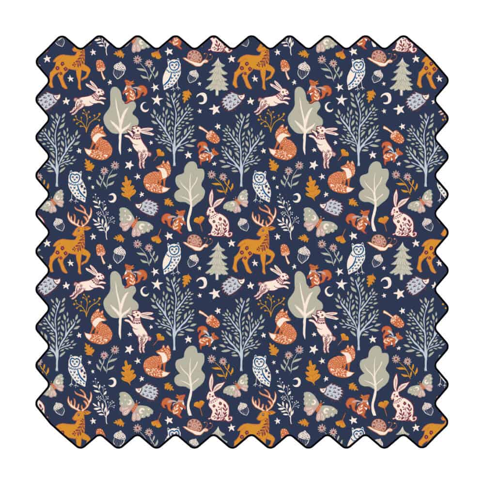 L'heure bleue des curieux