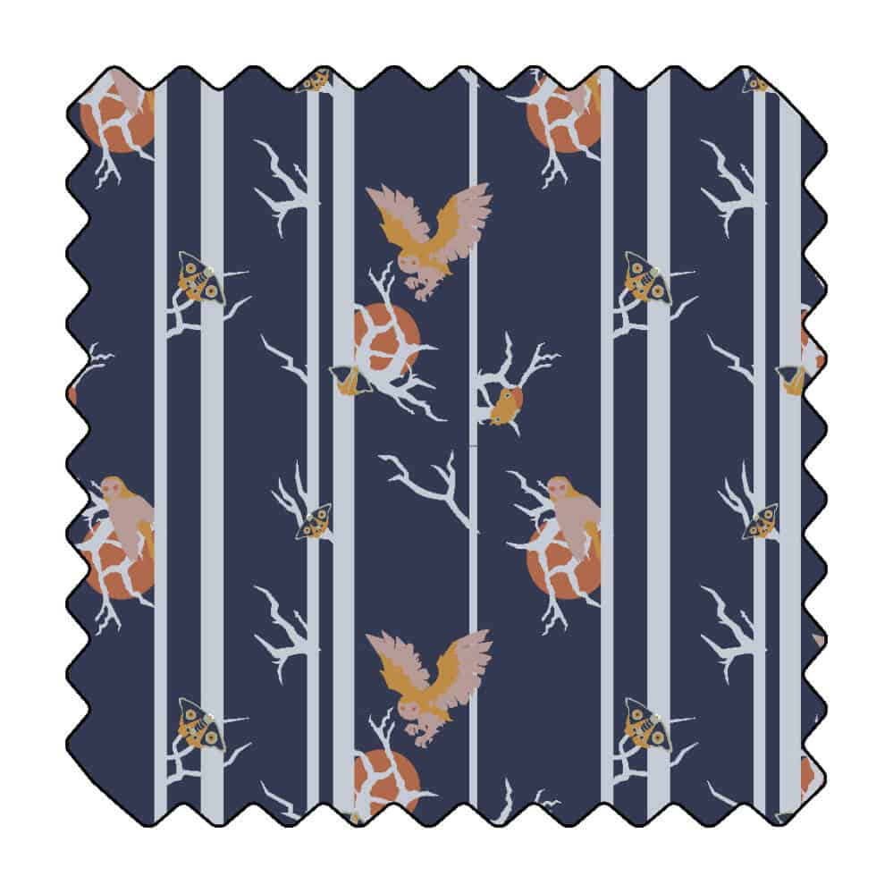 La lumière de la nuit