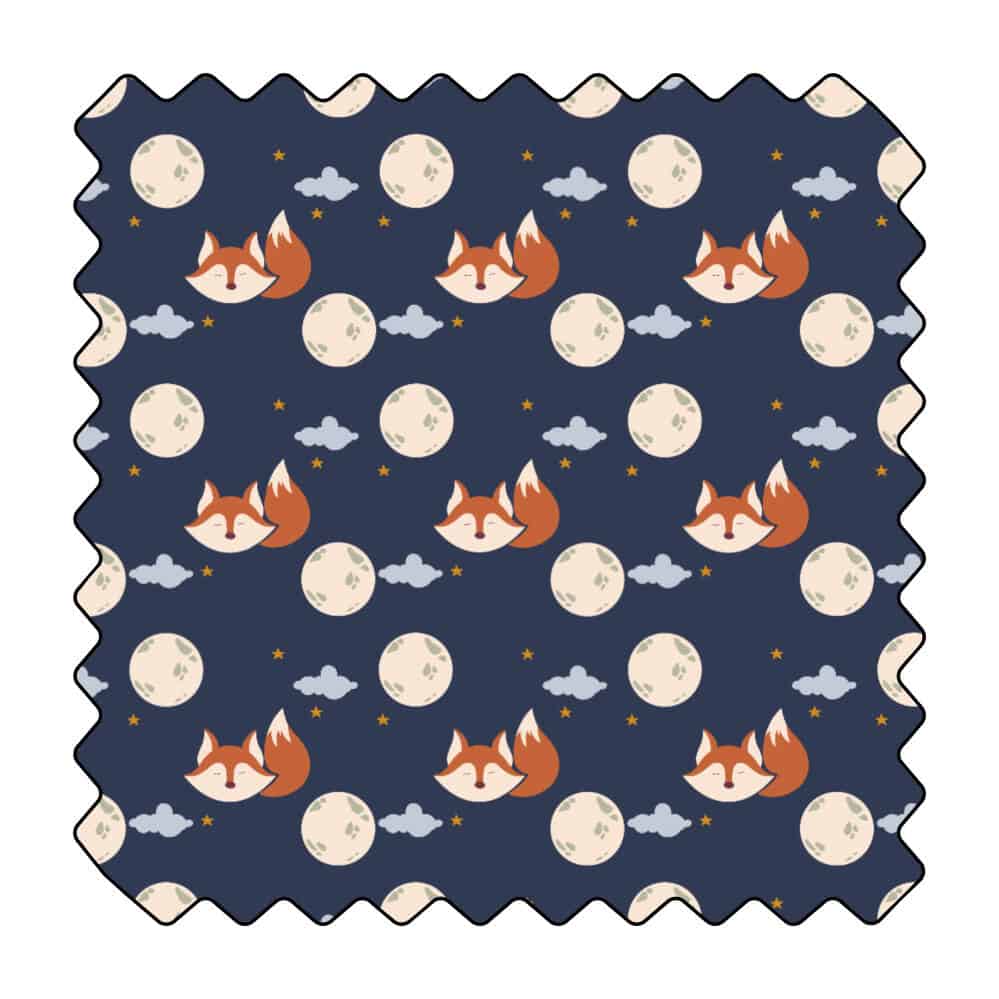 Le petit renardeau nocturne