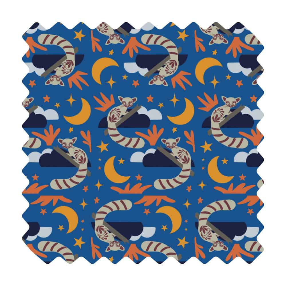 La nuit du cacomixtle