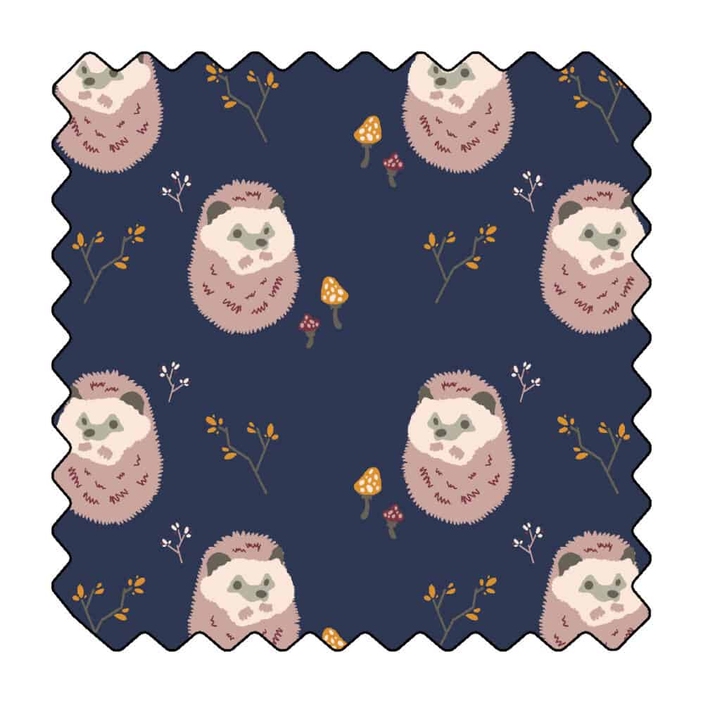 Le réveil du hérisson