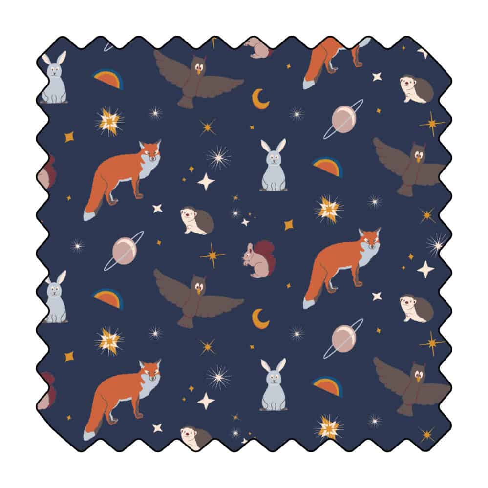 Crépuscule forestier