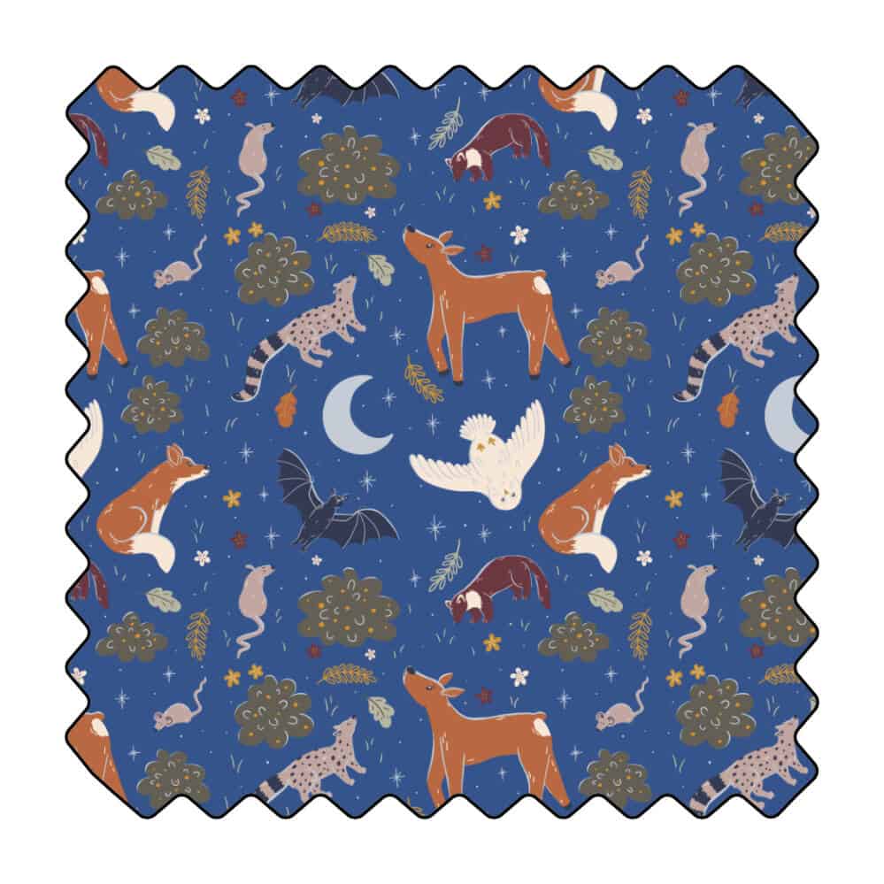 Voilà la nuit, les animaux sont de sortie!