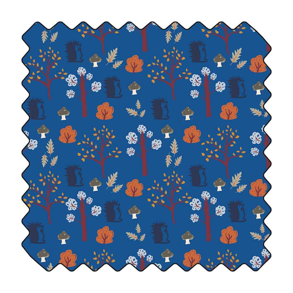 Raymond Le Hérisson