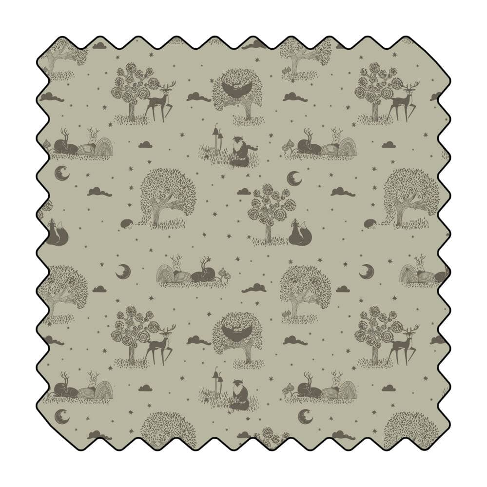 La vie secrète de la forêt