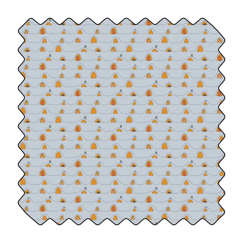 Habitats sous la neige