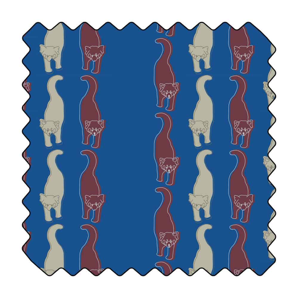 Cohabitation féline