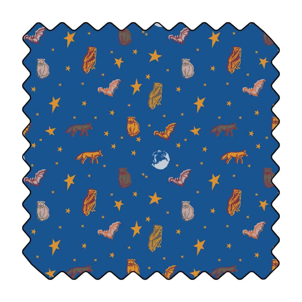 Sous la lumière de la lune