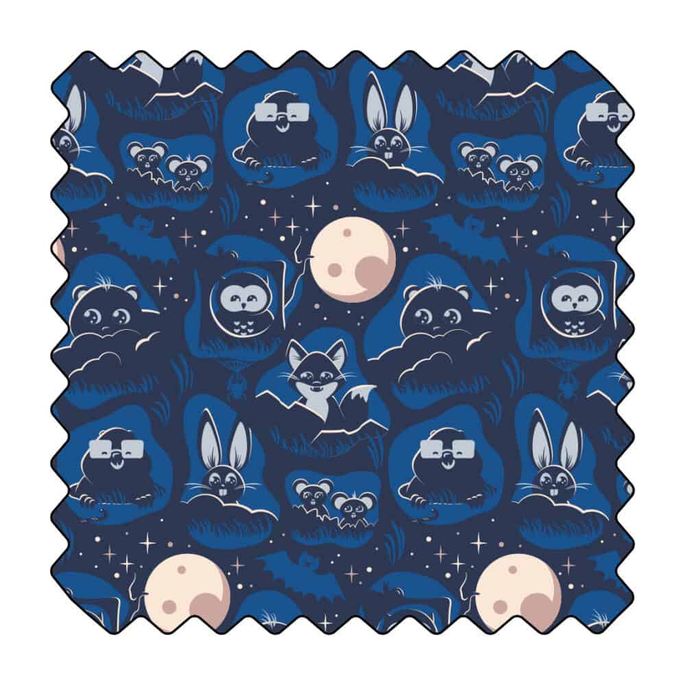 Cache-cache au clair de lune