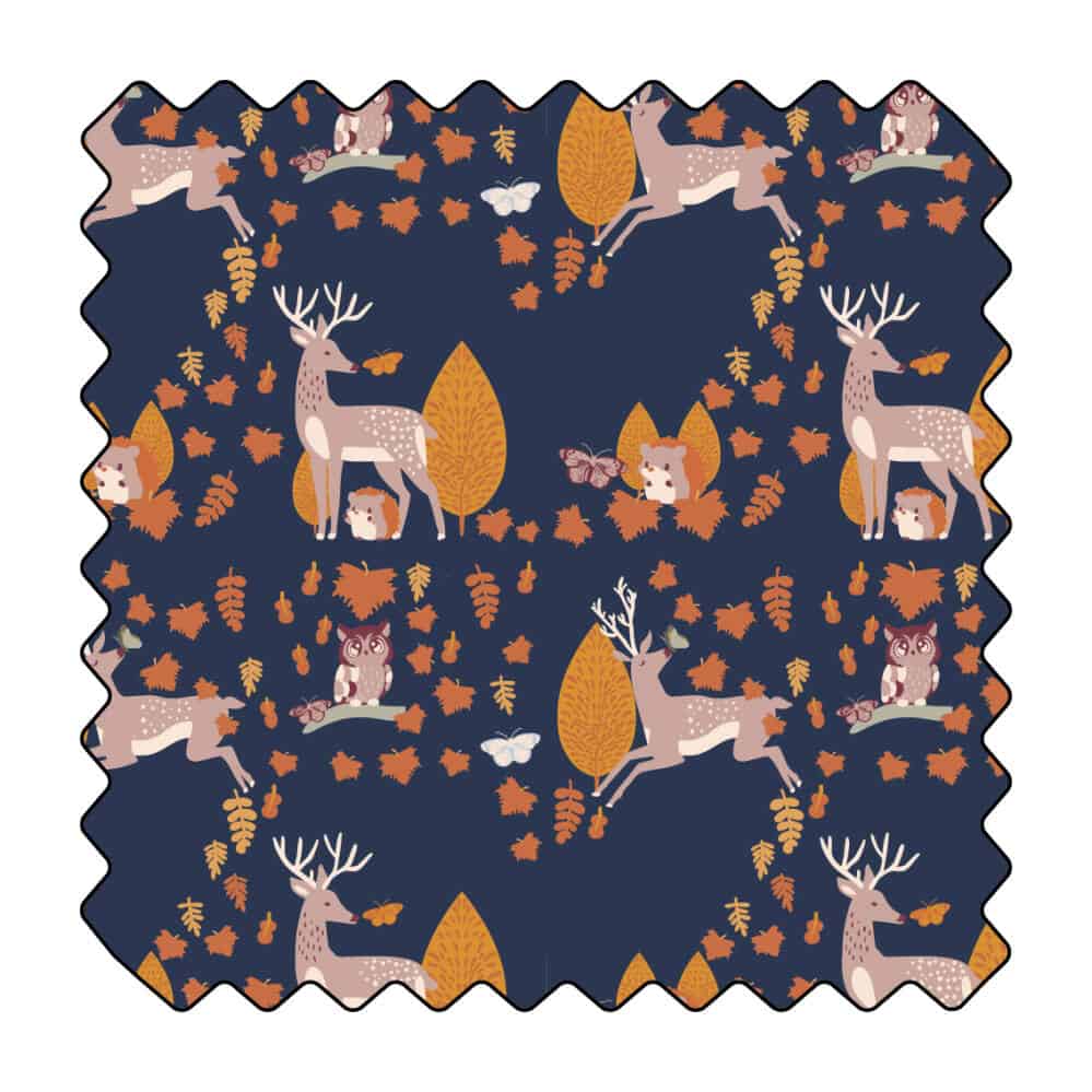 La quête du papillon