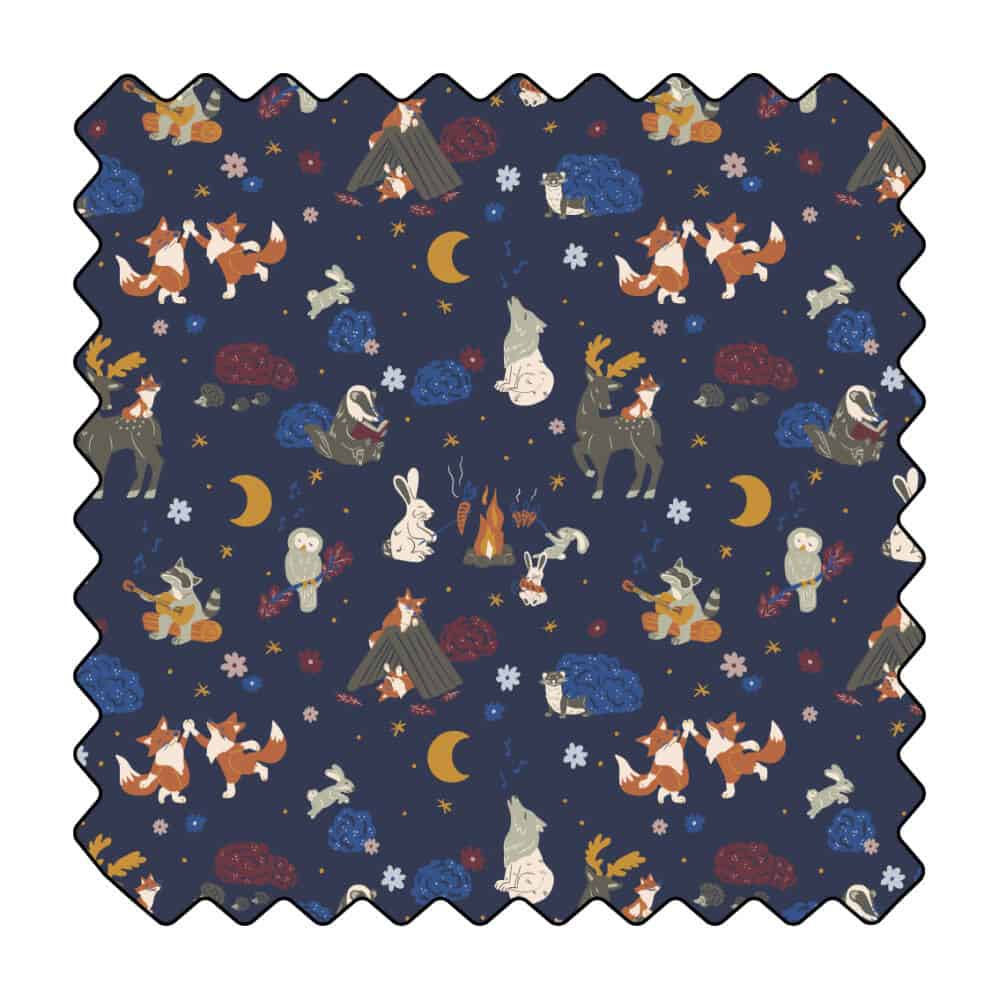 La veillée des bois