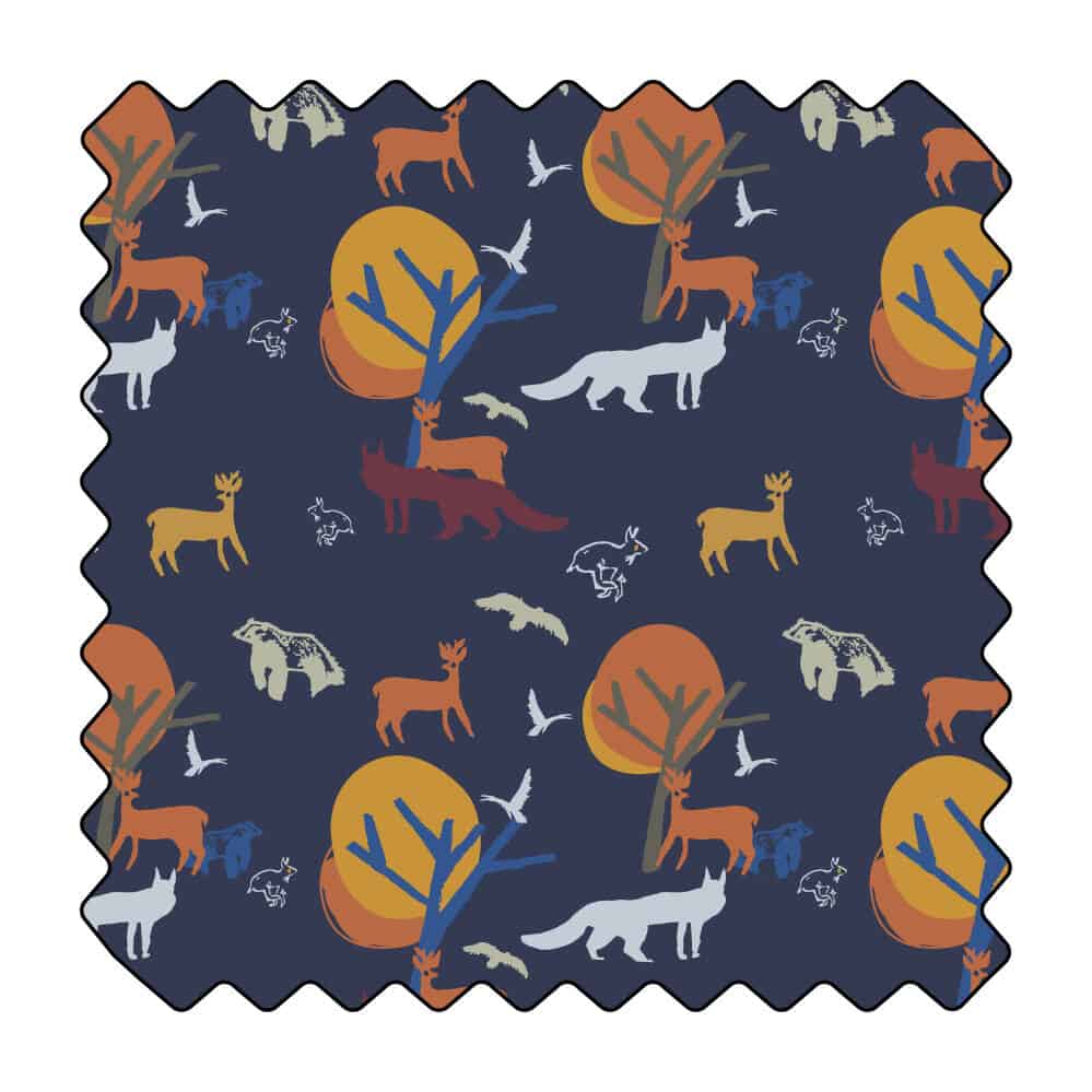 La forêt se réveille