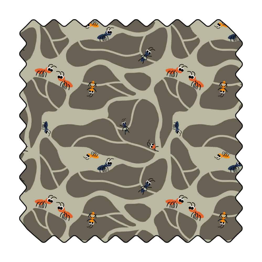 Réseaux Fourmiliaux